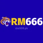 RM 666 Game