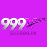 999V-Game
