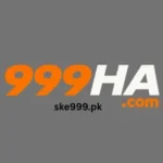 999HA-Game-Icon
