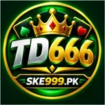 TD666-Game