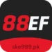88ef-game-icon
