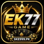 ek77-game-icon